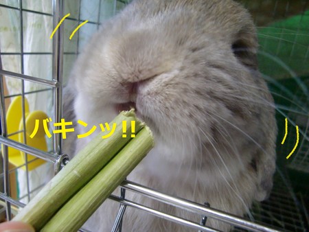 暑い3