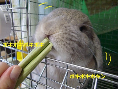 暑い4