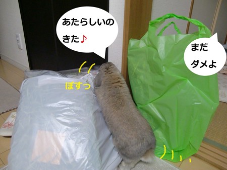 ごはん2