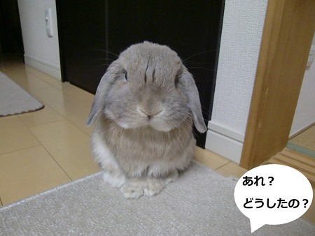 角1