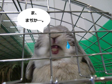 え2
