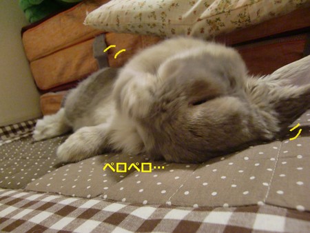 すきまっち3