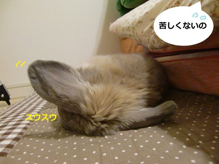 すきまっち4