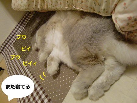 すきまっち5