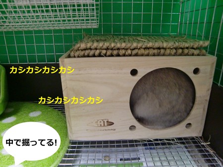 はいった1