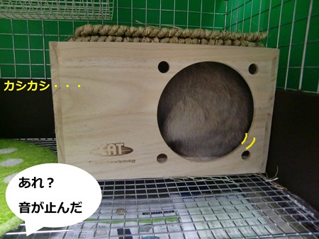 はいった2