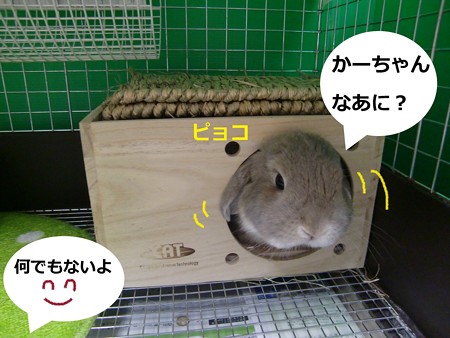 はいった3