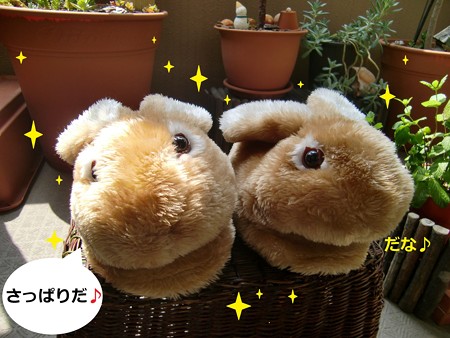 すりっぱ4