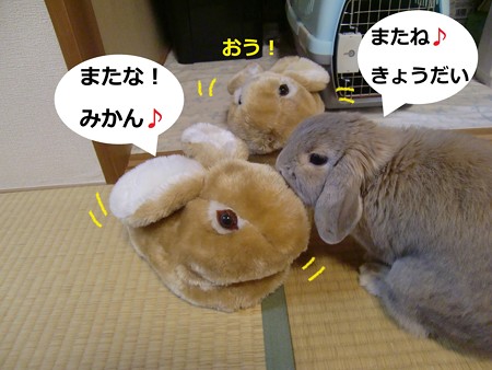 すりっぱ7