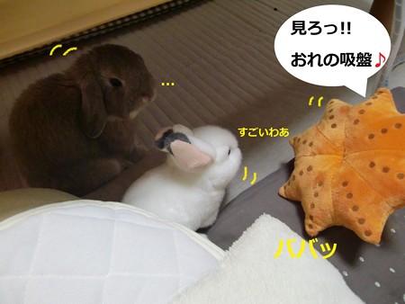 ともだち3