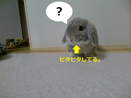 あ1