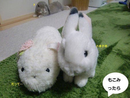 仲直り1