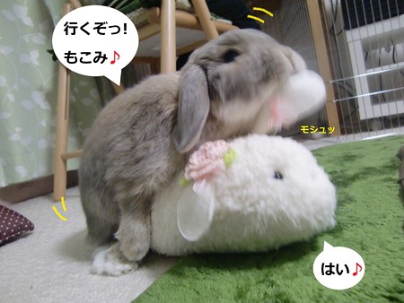 仲直り5