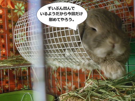 あ4