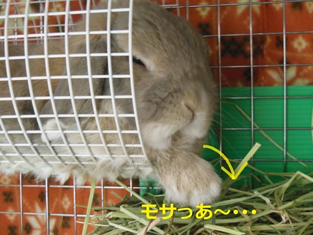 あ5