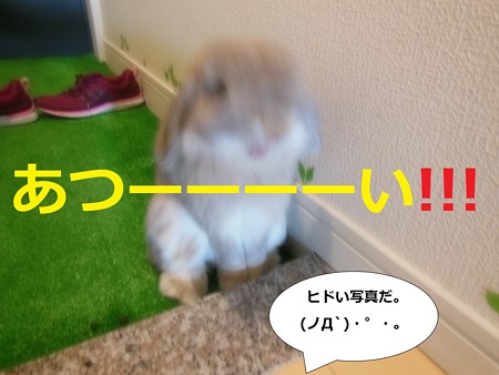 あ6