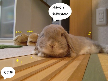 兄弟2