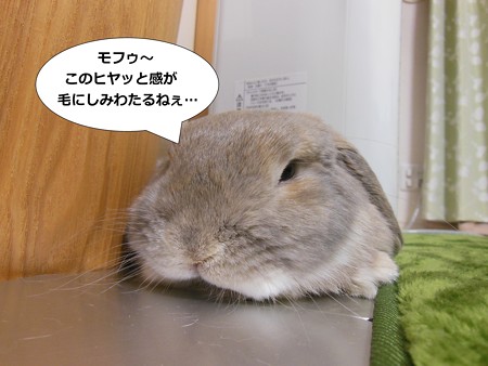 あ5