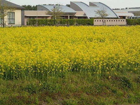 28 GW 秋田 大潟温泉 ボルダー潟の湯 4