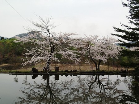 28 GW 秋田 湯沢 山のゆっこ 8