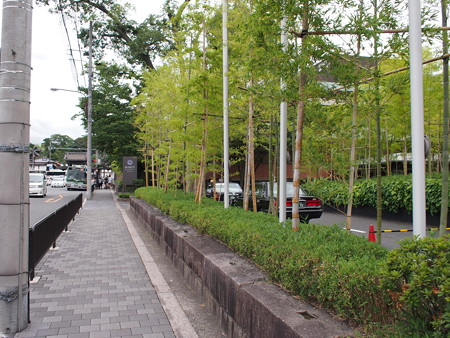 P8040193