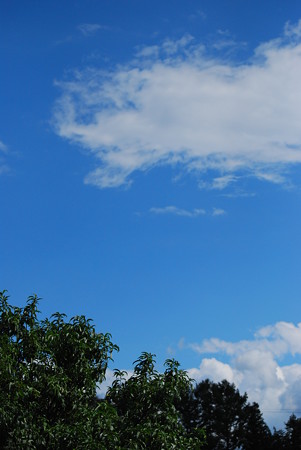 DSC_0238