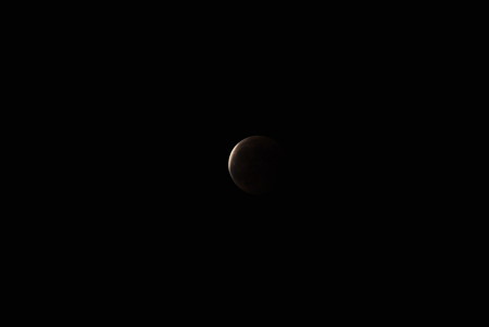 DSC_0474