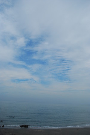 DSC_0480