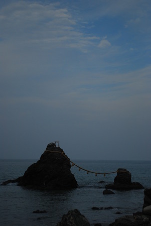 DSC_0550
