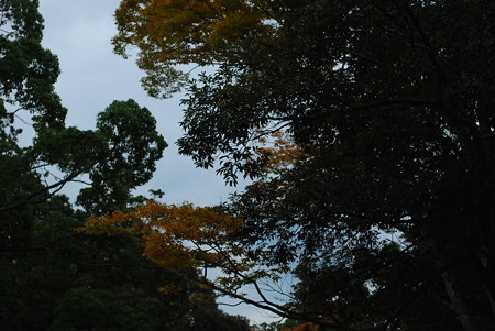 DSC_0602