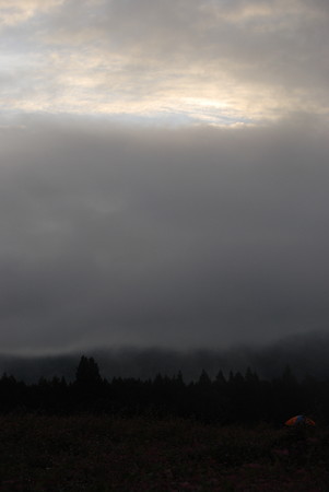 DSC_0597