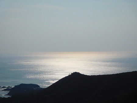 DSCN0310