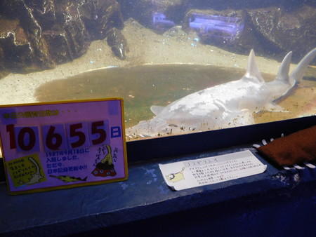 DSCN0364