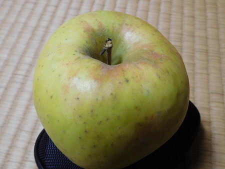 DSCN0438