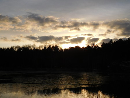 DSCN0502