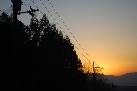 DSC_0108