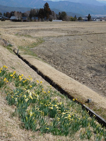 DSCN0874