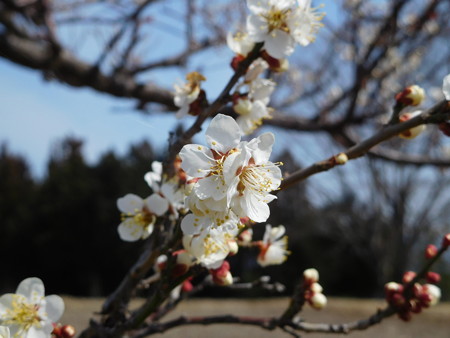 DSCN0876