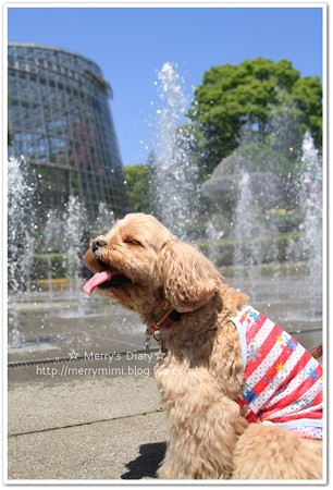 気持ちいいね