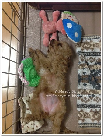 zzz