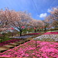 静峰ふるさと公園