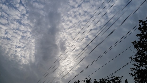 曇り空の上にひつじ雲が・・・