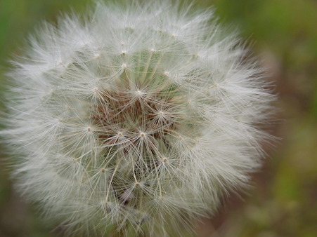 20100515_135120