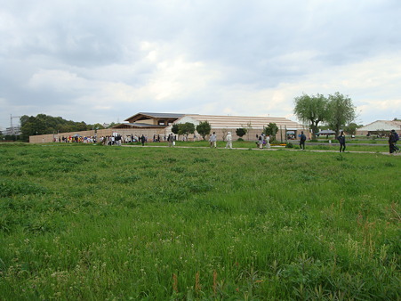 DSC01675