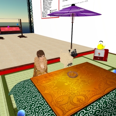 Snapshot_04499 Snapshot_04499