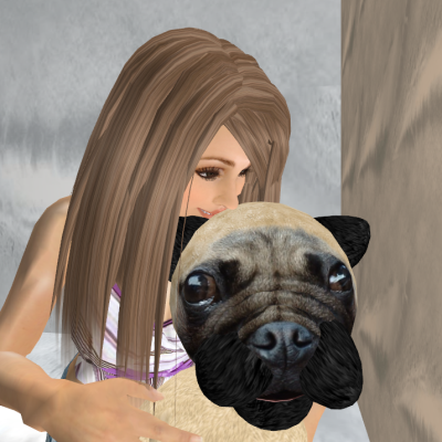 Snapshot_225 Snapshot_225
