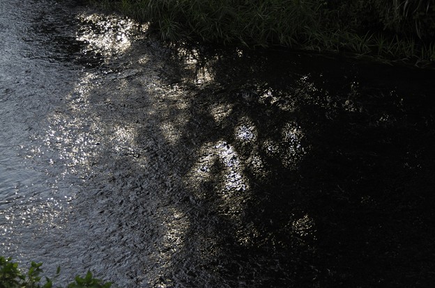 川面の光と影