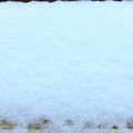 Photos: 11.24WhiteXmasEve～1か月前、初雪