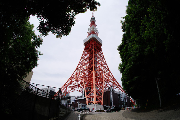 初めての東京タワー