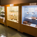 Photos: 奇石博物館の展示棚